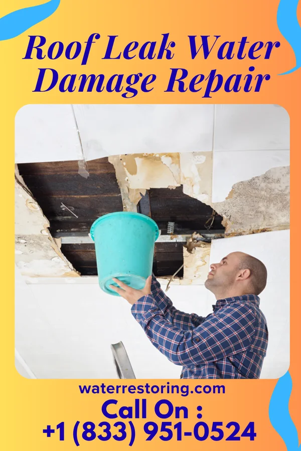 Roof Leak Water Damage Repair in Spring Green, WI